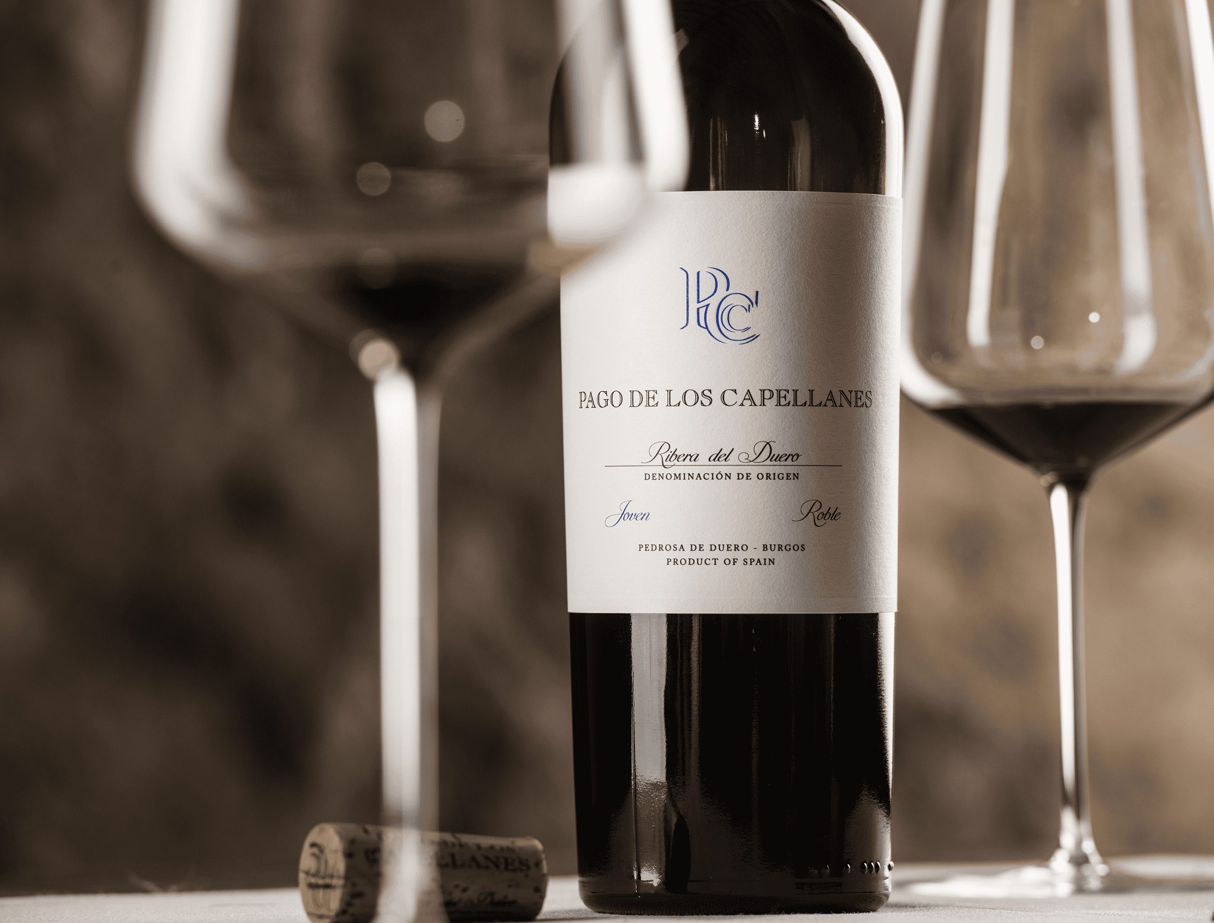 JOVEN ROBLE BODEGON